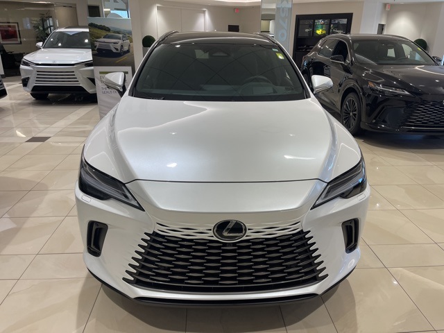 2024 Lexus RX 350 Luxury 3