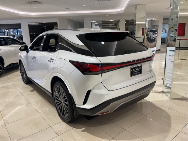 2024 Lexus RX 350 Luxury 10