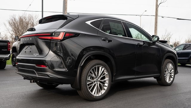 2025 Lexus NX 350h Premium 6