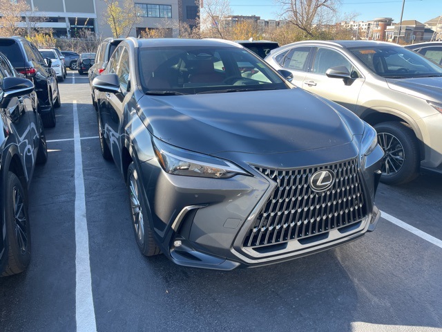 2025 Lexus NX 350h Premium 2