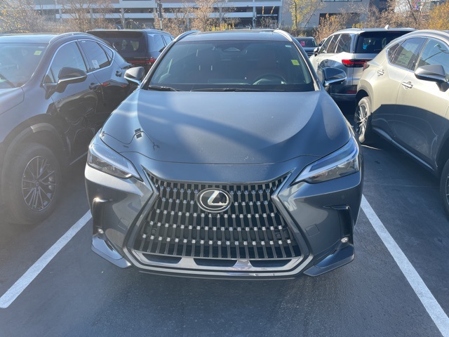 2025 Lexus NX 350h Premium 3