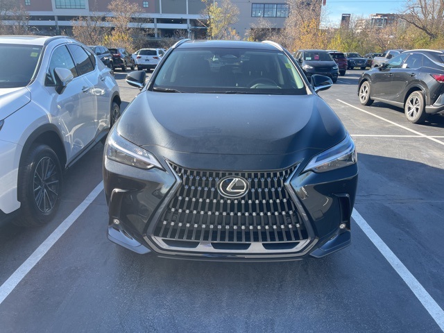 2025 Lexus NX 350h Base 3