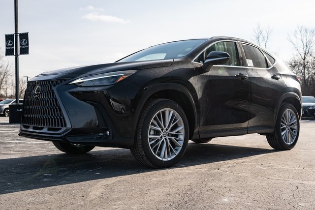 2025 Lexus NX 350h Luxury 2