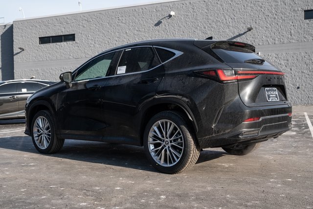 2025 Lexus NX 350h Luxury 3