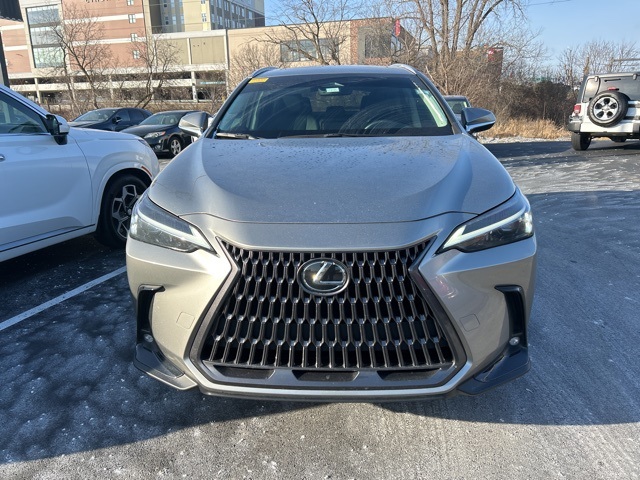 2024 Lexus NX 350 Base 2