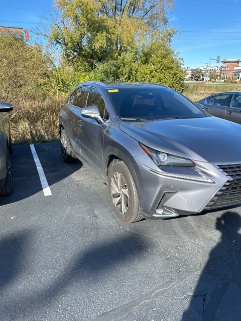 2018 Lexus NX 300 Base 3