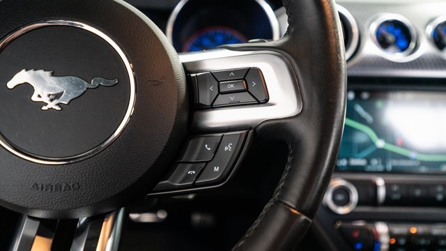 2019 Ford Mustang GT Premium 13