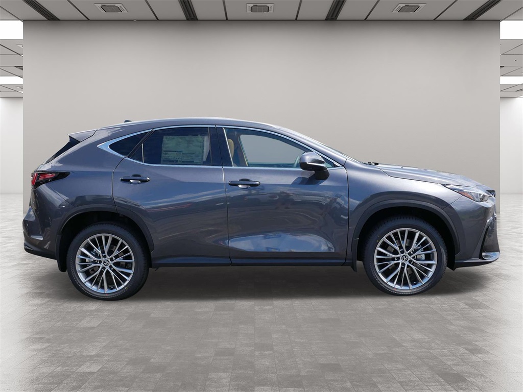 2025 Lexus NX 350h Premium 6