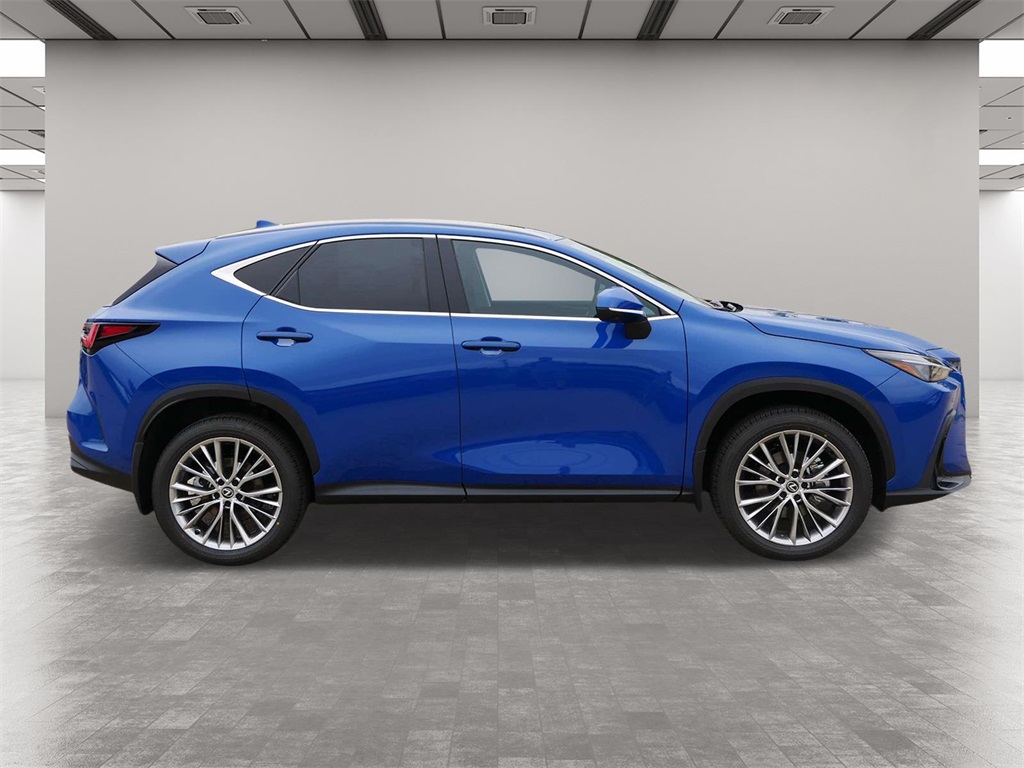 2025 Lexus NX 350h Premium 6