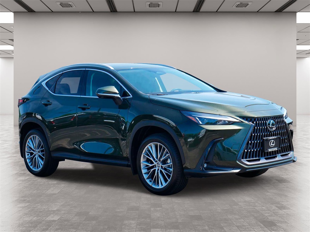 2025 Lexus NX 350h Premium 1