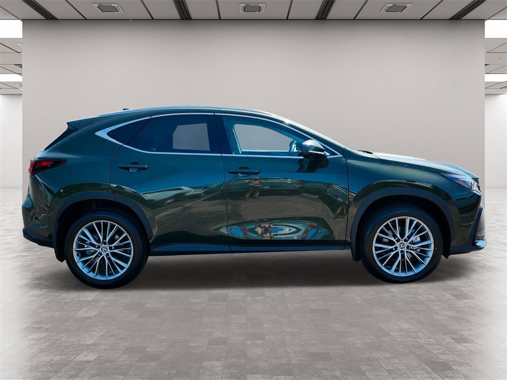 2025 Lexus NX 350h Premium 6