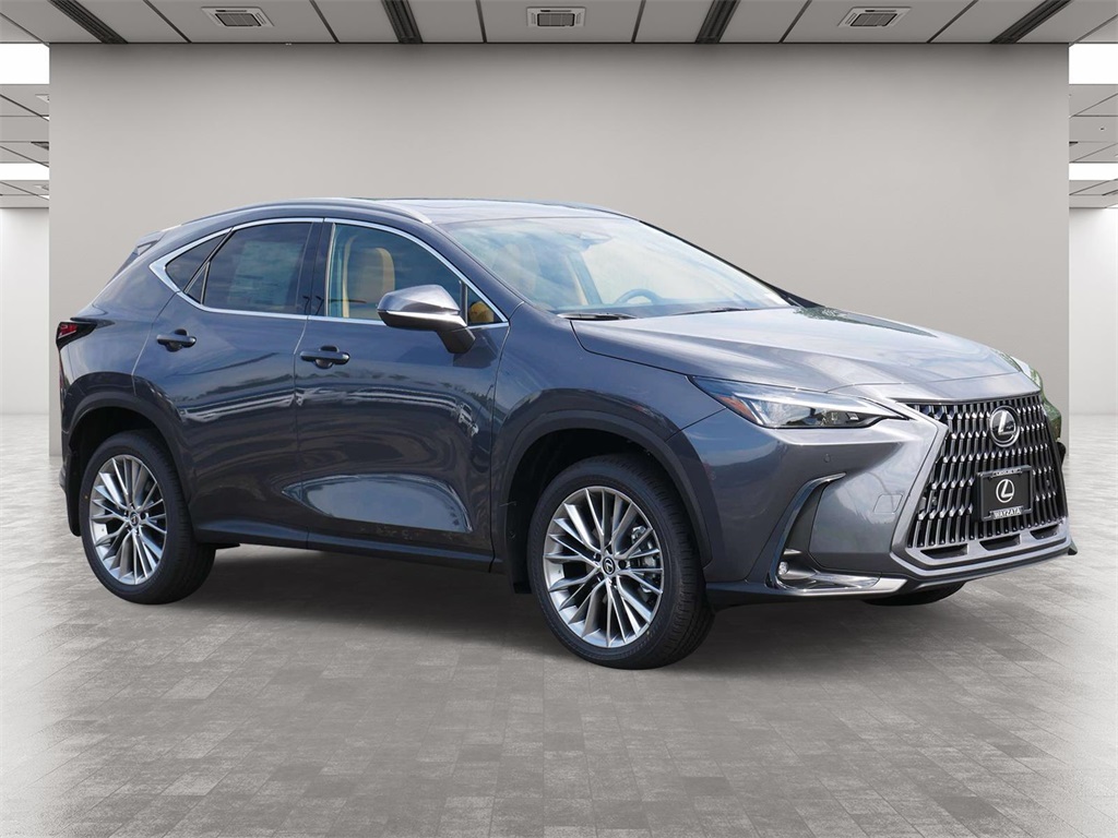 2025 Lexus NX 350 Premium 1