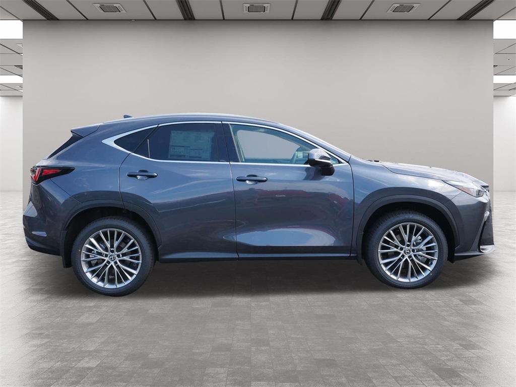 2025 Lexus NX 350 Premium 6