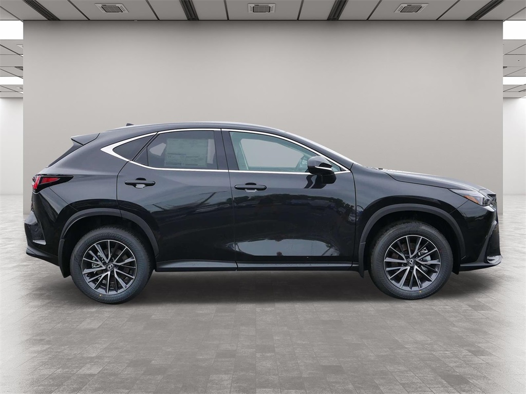 2025 Lexus NX 350 Base 6