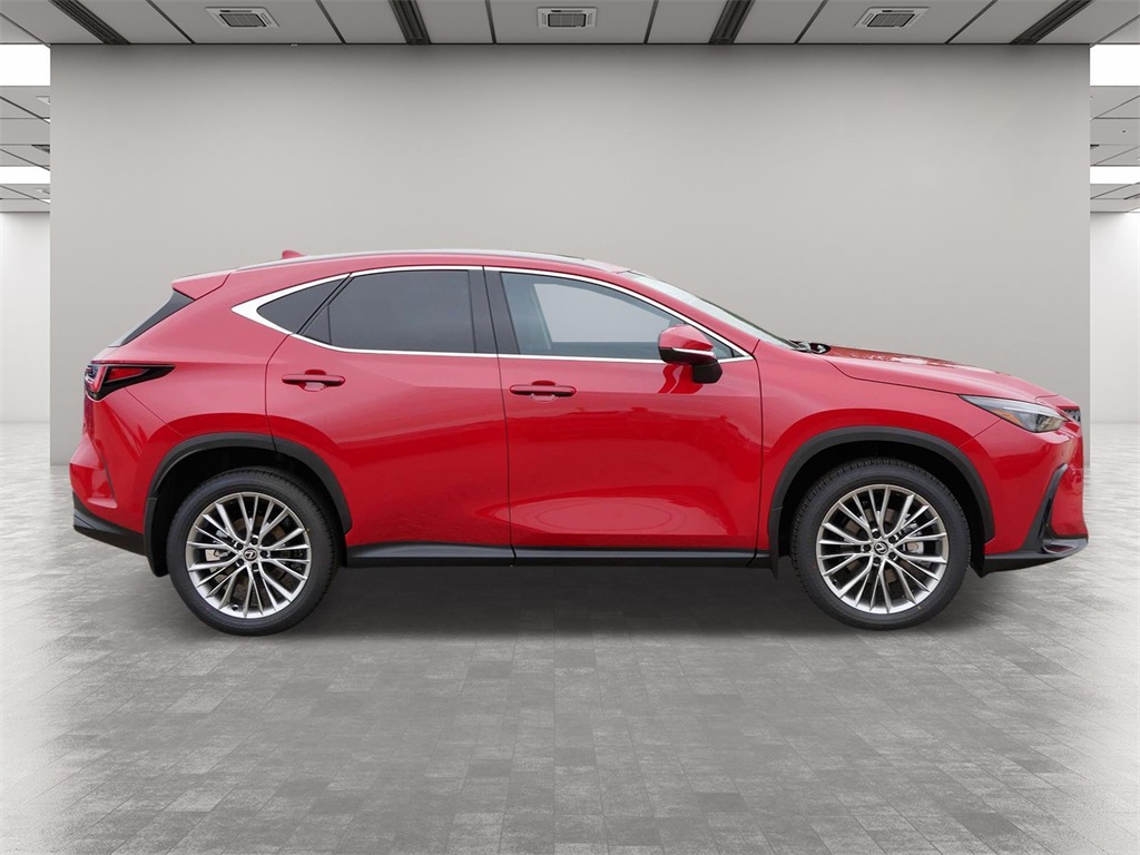 2025 Lexus NX 350 Premium 6