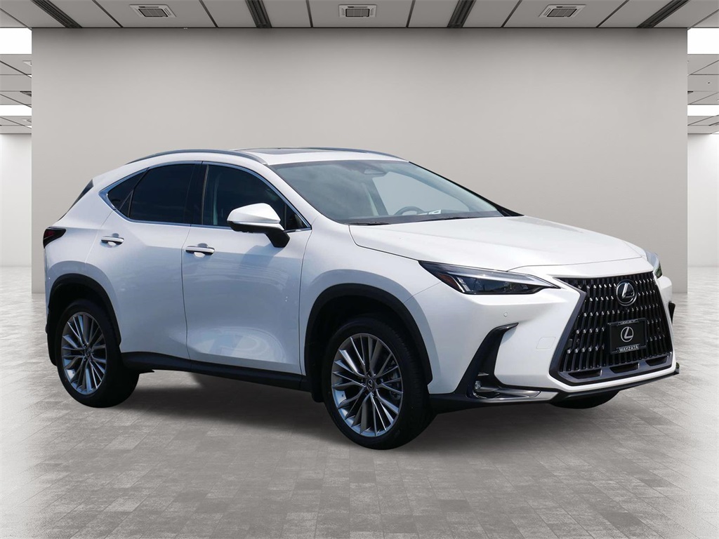 2025 Lexus NX 350h Premium 1