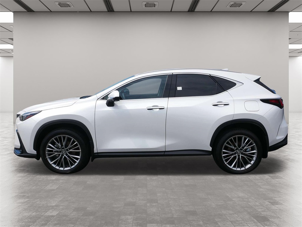 2025 Lexus NX 350h Premium 3