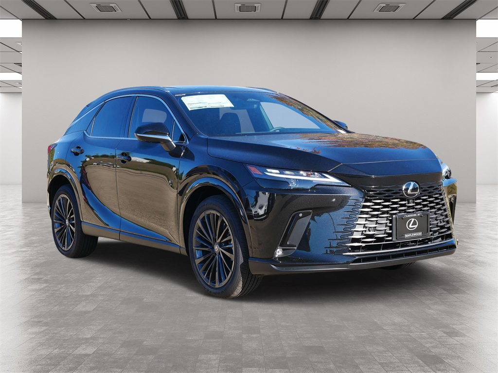 2024 Lexus RX  1