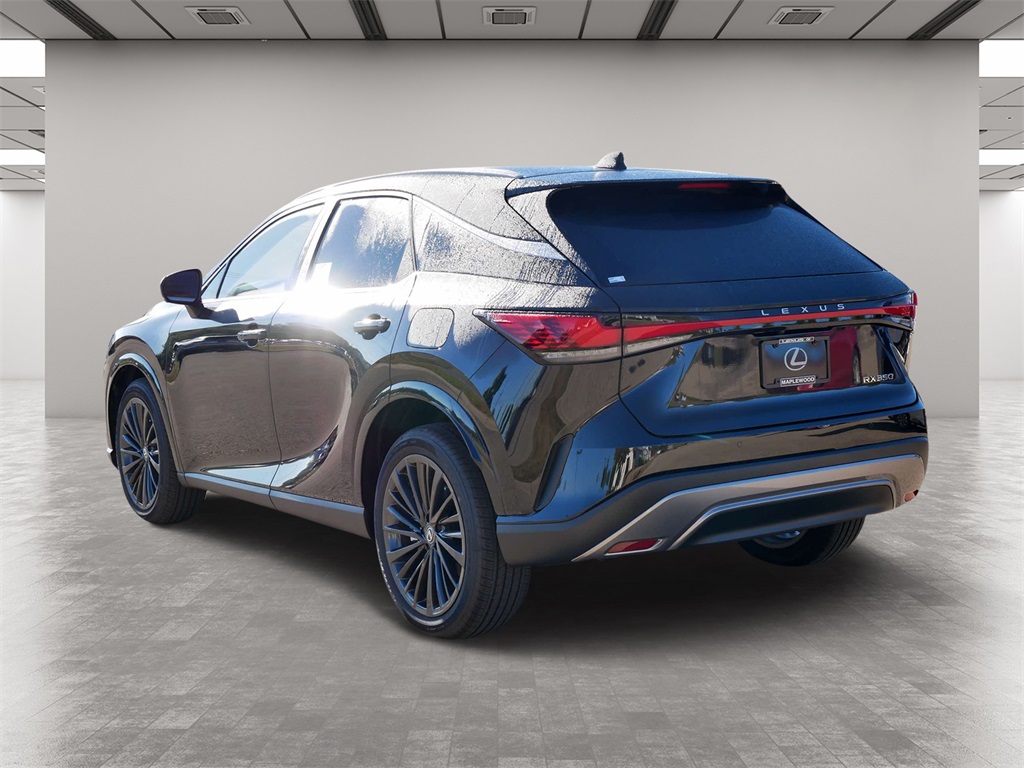 2024 Lexus RX  4