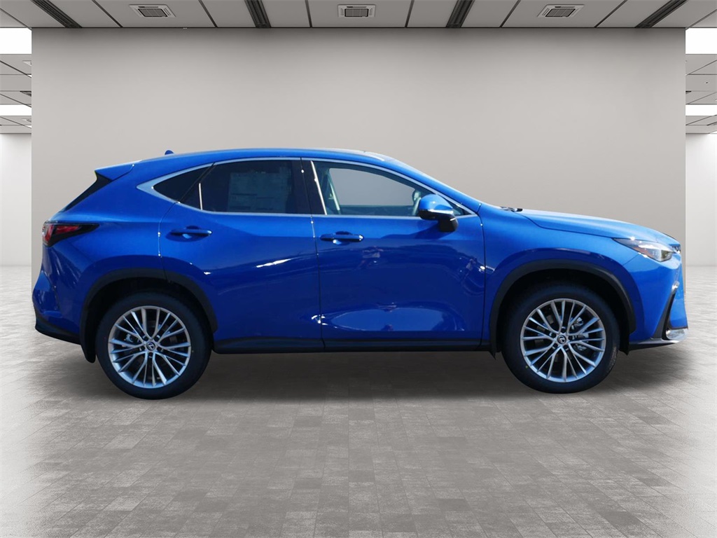 2025 Lexus NX 350 Luxury 6