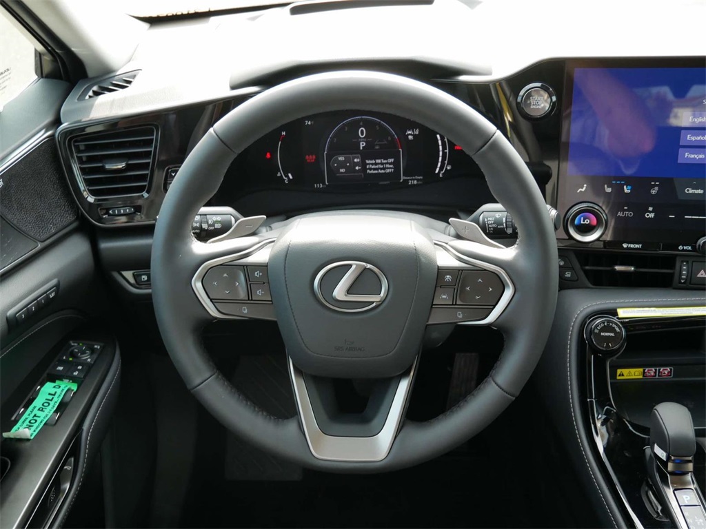 2025 Lexus NX 350 Luxury 11