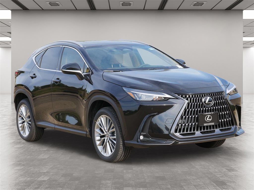 2025 Lexus NX 350 Premium 1