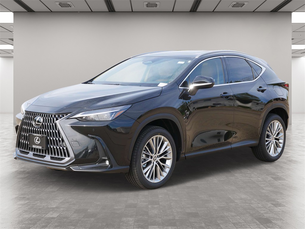 2025 Lexus NX 350 Premium 2