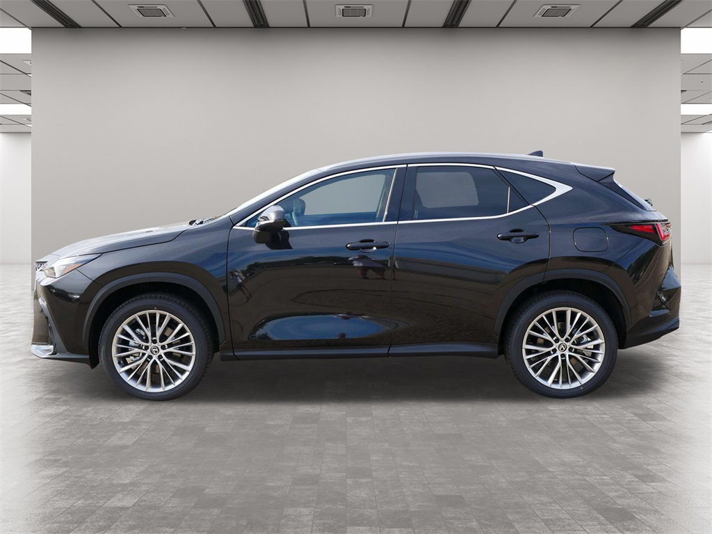 2025 Lexus NX 350 Premium 3