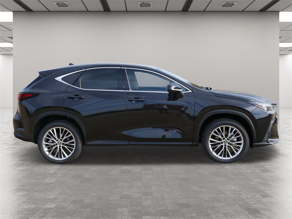 2025 Lexus NX 350 Premium 6