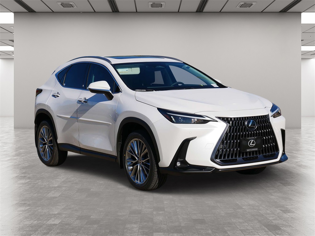 2025 Lexus NX 350 Premium 1