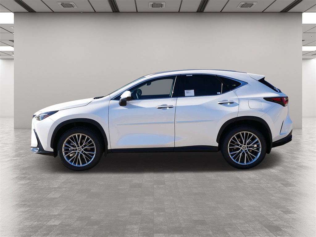 2025 Lexus NX 350 Premium 3