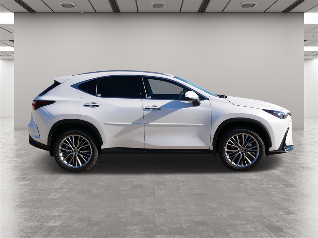 2025 Lexus NX 350 Premium 6