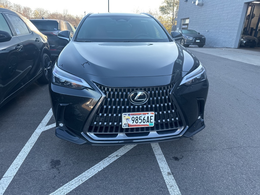 2024 Lexus NX 350h Premium 6