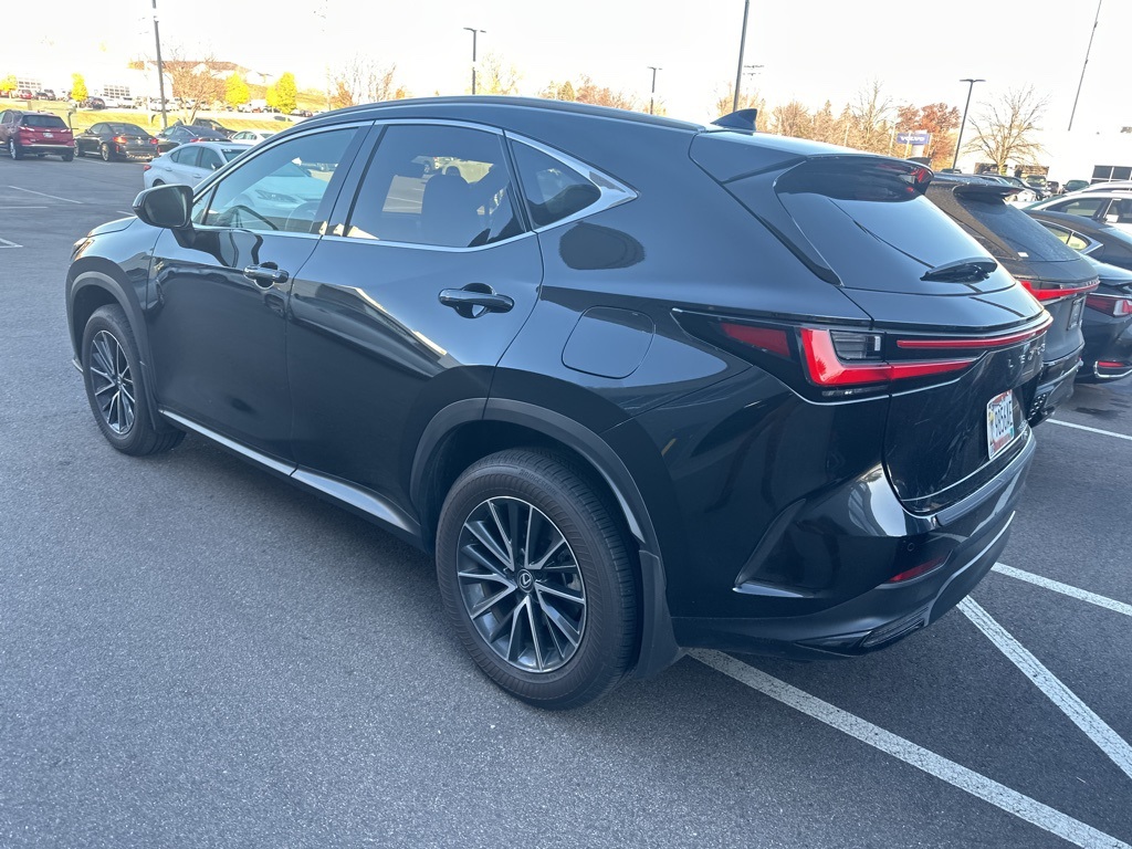 2024 Lexus NX 350h Premium 14