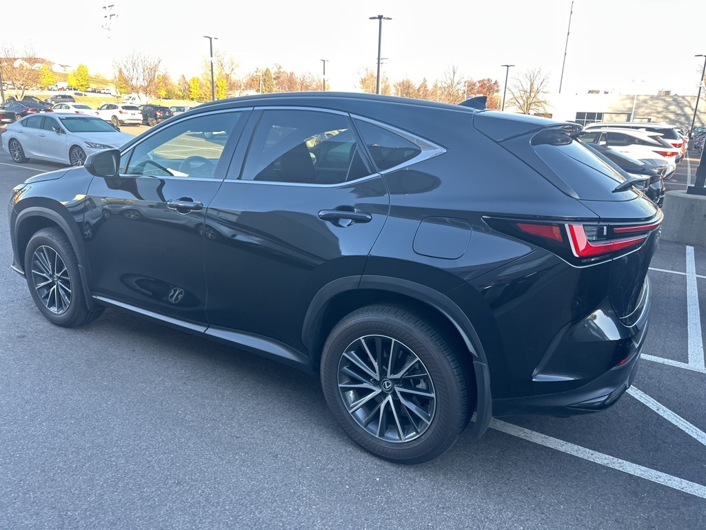 2024 Lexus NX 350h Premium 15