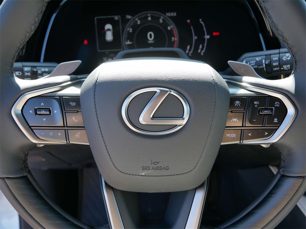 2024 Lexus RX 350 Premium 17