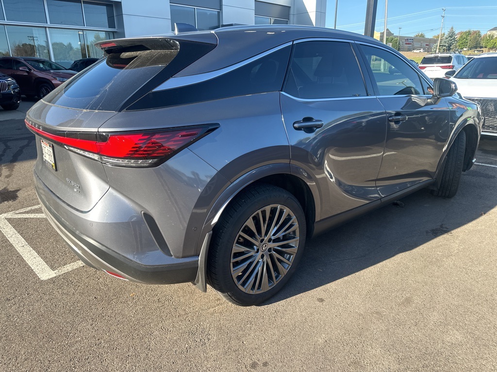 2023 Lexus RX 350 Luxury 5