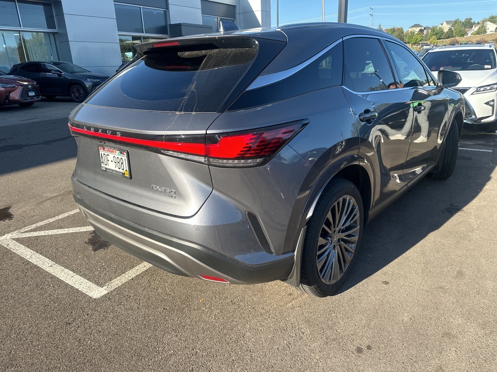 2023 Lexus RX 350 Luxury 6