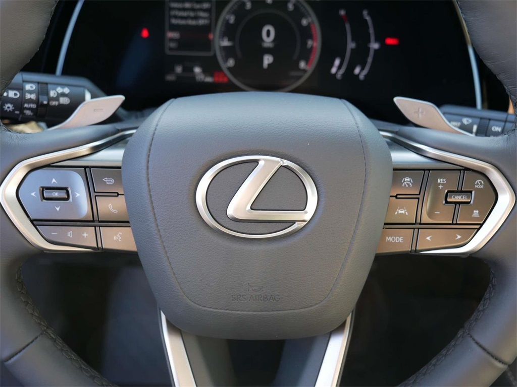 2024 Lexus RX 350 17