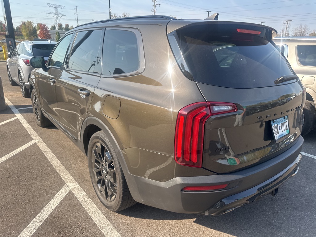 2022 Kia Telluride SX 14