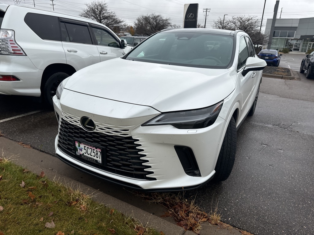 2024 Lexus RX 350 Luxury 11