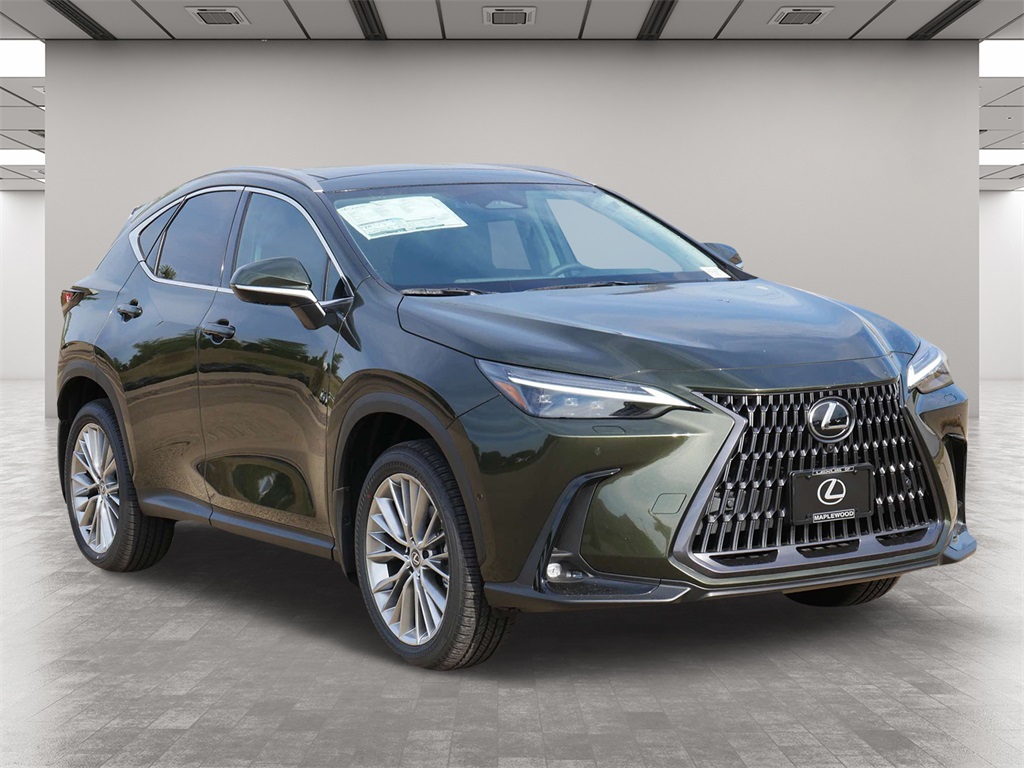 2025 Lexus NX 350 Luxury 1