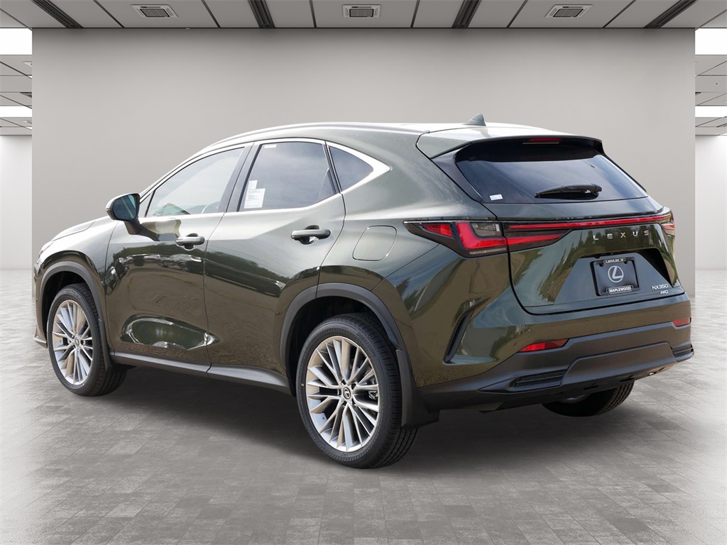 2025 Lexus NX 350 Luxury 4