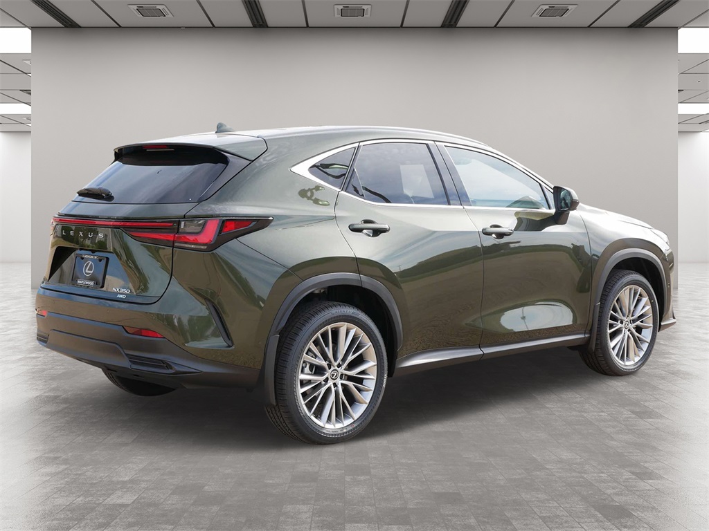 2025 Lexus NX 350 Luxury 5