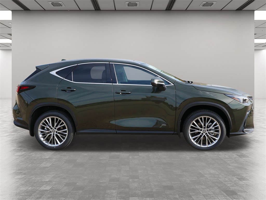 2025 Lexus NX 350 Luxury 6