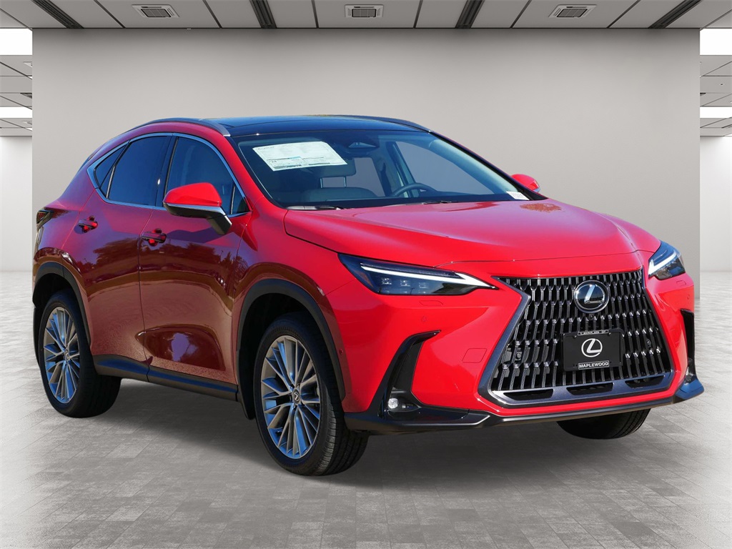 2025 Lexus NX 350 Luxury 1