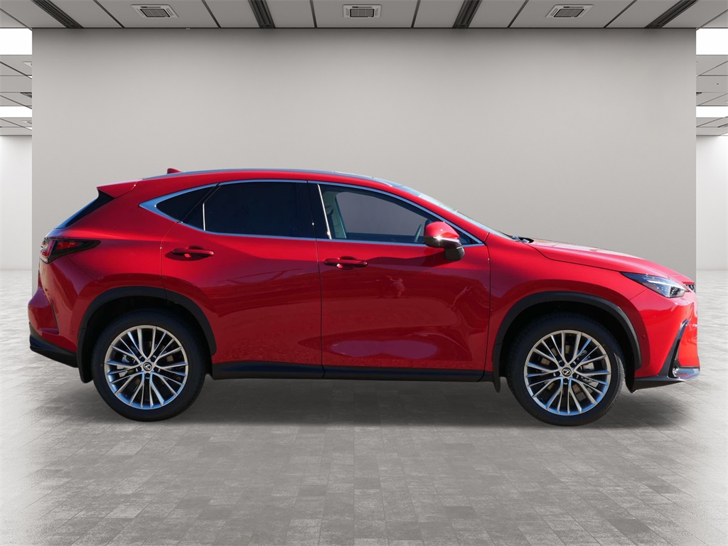 2025 Lexus NX 350 Luxury 6