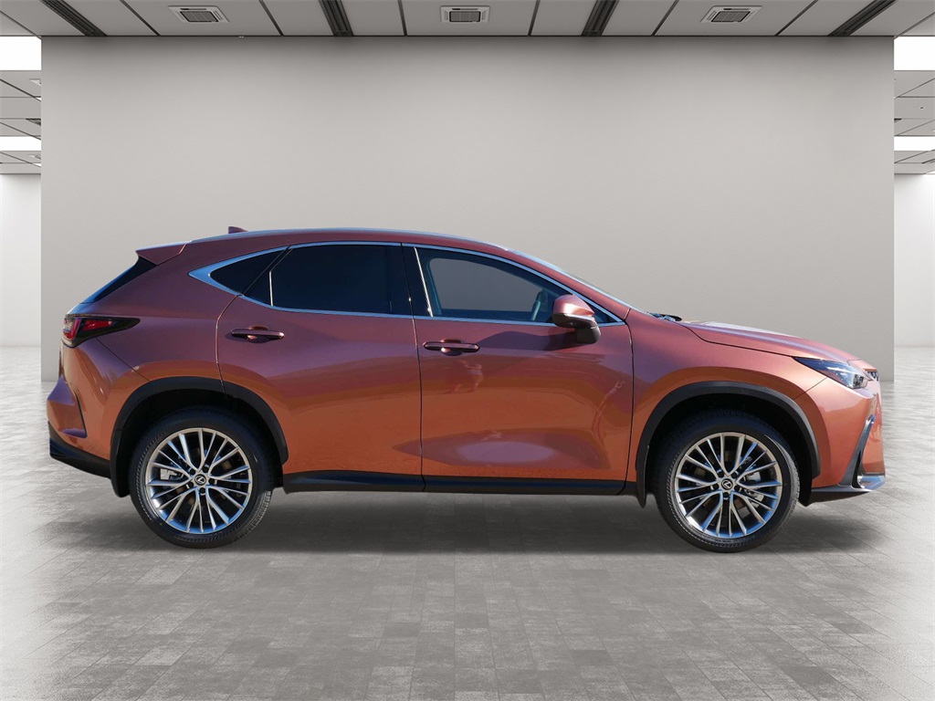 2025 Lexus NX 350h Premium 6