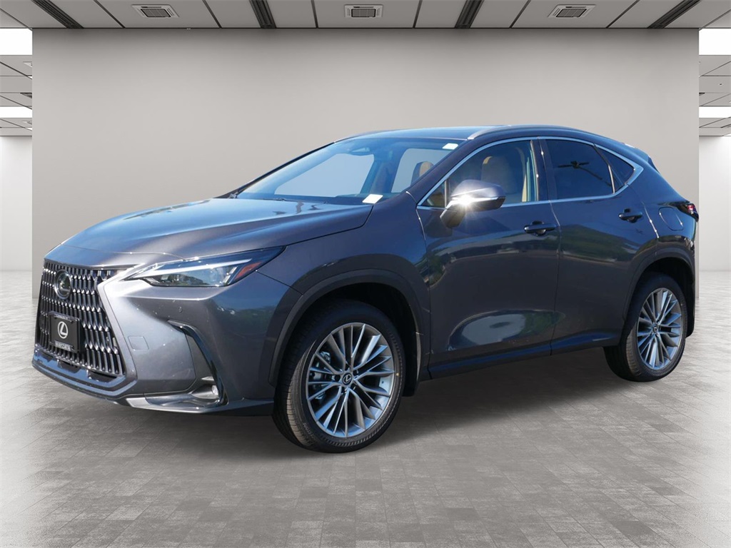 2025 Lexus NX 350h Premium 2