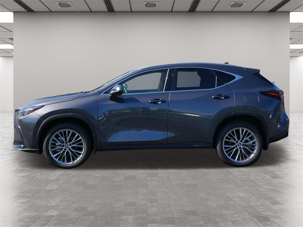 2025 Lexus NX 350h Premium 3